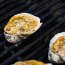 Chargrilled Oysters