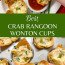 Crab Rangoon (4)