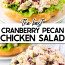 Cranberry Pecan Chicken Salad