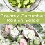 Cucumber Salad