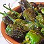 Pimientos Del Padron