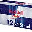 Red Bull Energy Can