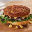 Southwest Black Bean Burger