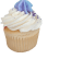 Vanilla Cupcake