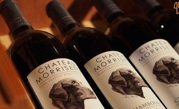 Chateau Morrisette Winery And