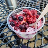 Leduc's Frozen Custard