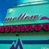 Mellow Mushroom